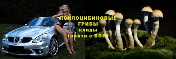 круглые Белокуриха