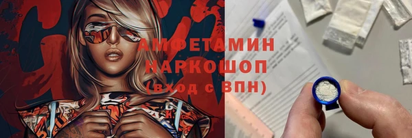 индика Болхов