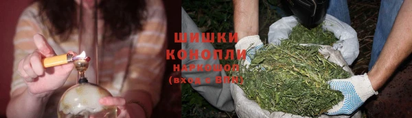 круглые Белокуриха