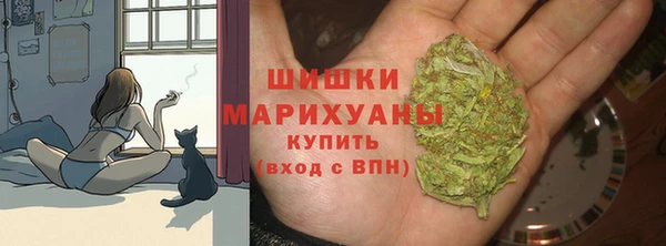 круглые Белокуриха