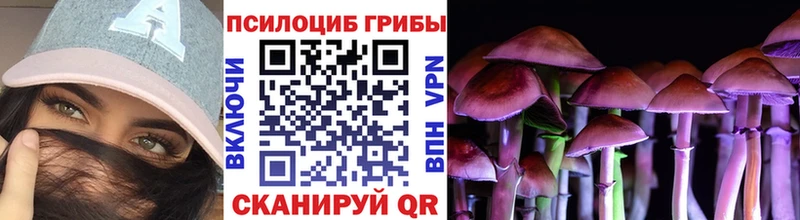 где найти   Соль-Илецк  гидра tor  Галлюциногенные грибы Magic Shrooms 