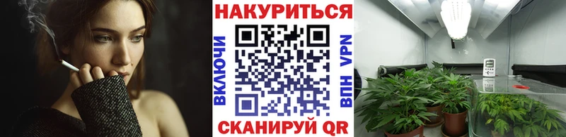 Канабис план  Соль-Илецк 
